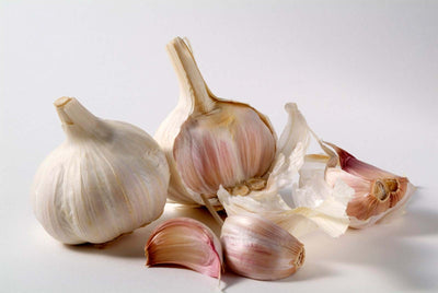 Garlic Local
