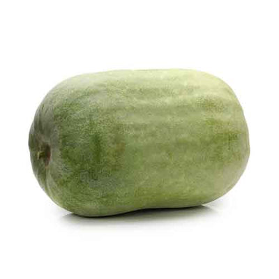 Ash Gourd