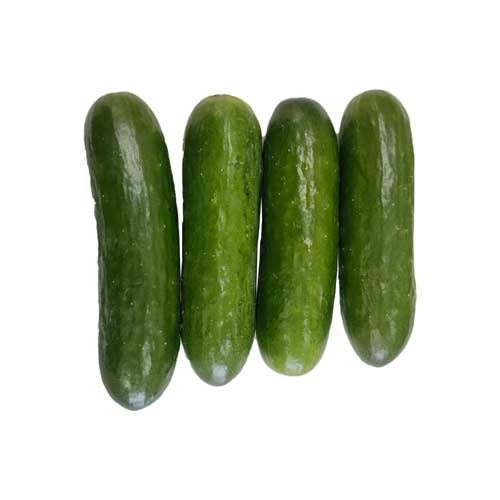 Cucumber green